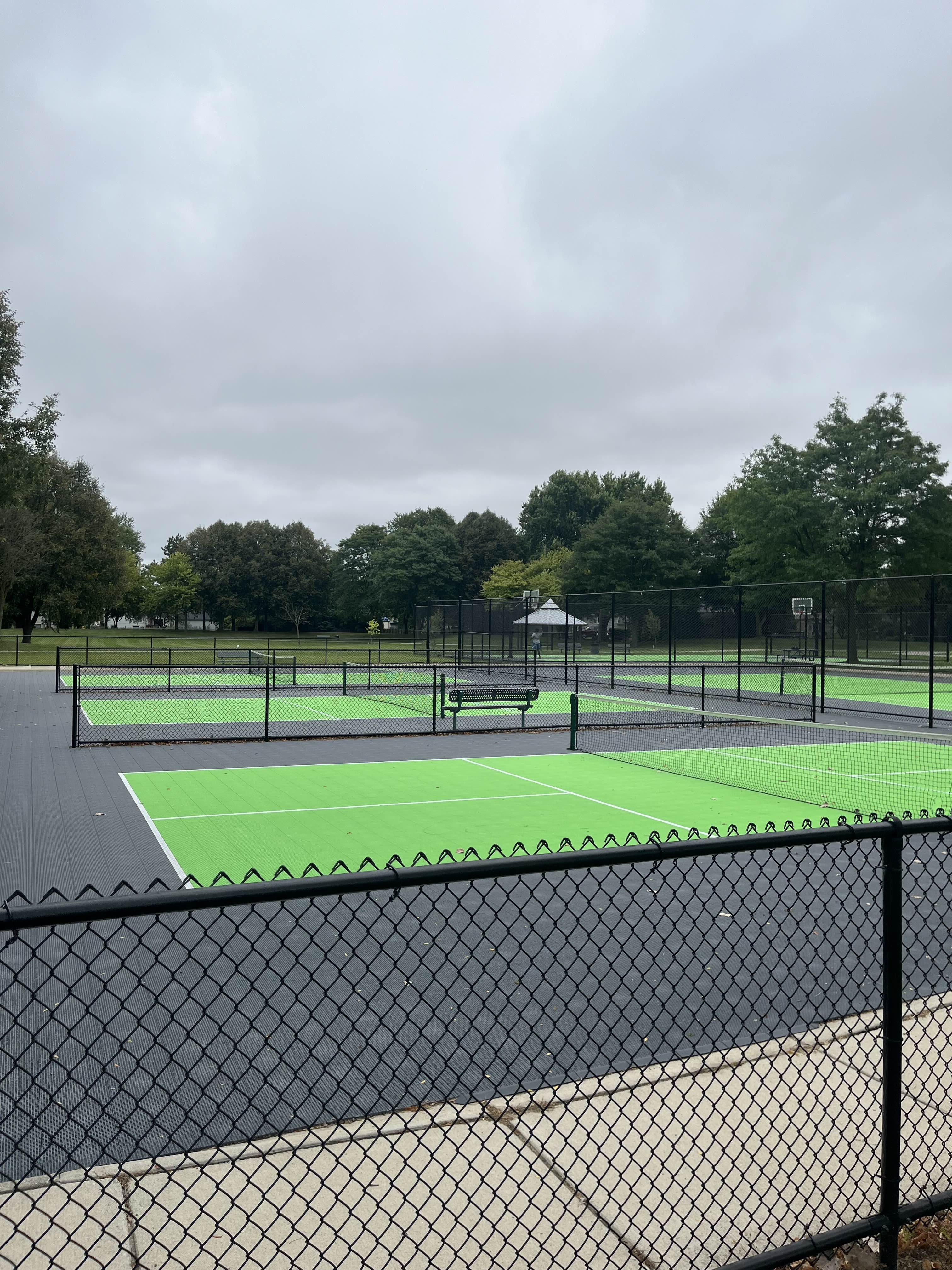 Pickleball Court Action